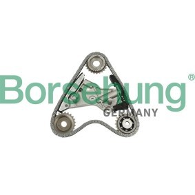 Steuerkettensatz B10201 von Borsehung günstig für 140,32 € online kaufen