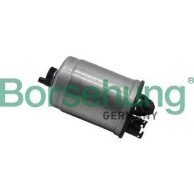 Kraftstofffilter des Herstellers Borsehung - Originalware Artikelnummer: B10471
