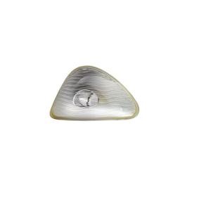 Blinker von IPARLUX