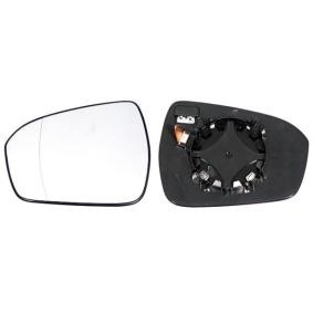 Spiegelglas, Außenspiegel 31315502 von IPARLUX günstig für 29,79 € online kaufen