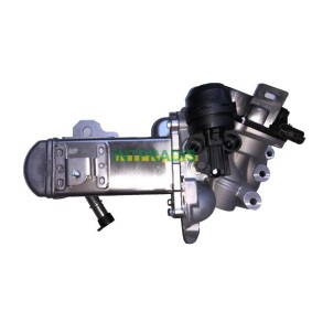 AGR-Ventil 25863 von INTFRADIS günstig für 422,59 € online kaufen