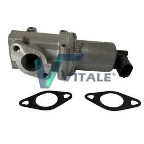 AGR-Ventil für FIAT von VITALE