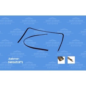 Zier- / Schutzleiste, Frontscheibe 5401651871 von SAINT-GOBAIN günstig für 75,46 € online kaufen