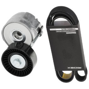 Köp Drivremssats av RIDEX 542R0561 till det låga priset 336,04 kr