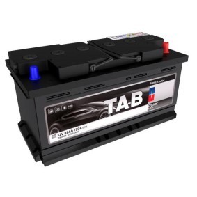Batterie 246889 von TAB günstig für 99,52 € online kaufen
