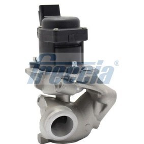 AGR-Ventil EGR12-107 von FRECCIA günstig für 109,01 € online kaufen