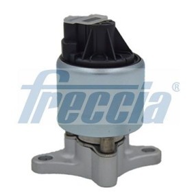 AGR-Ventil EGR12-109 von FRECCIA günstig für 59,68 € online kaufen