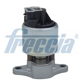 AGR-Ventil EGR12-111 von FRECCIA günstig für 67,79 € online kaufen