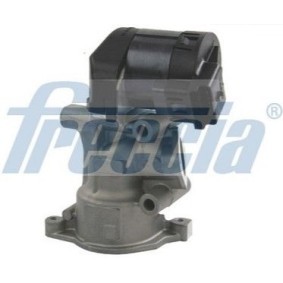 AGR-Ventil für FIAT von FRECCIA