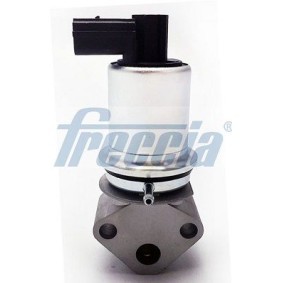 AGR-Ventil EGR12-129 von FRECCIA günstig für 80,81 € online kaufen