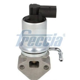 AGR-Ventil EGR12-135 von FRECCIA günstig für 88,49 € online kaufen