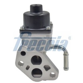 AGR-Ventil EGR12-136 von FRECCIA günstig für 82,61 € online kaufen