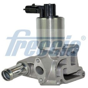 AGR-Ventil EGR12-137 von FRECCIA günstig für 86,48 € online kaufen
