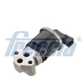 AGR-Ventil EGR12-161 von FRECCIA günstig für 92,98 € online kaufen
