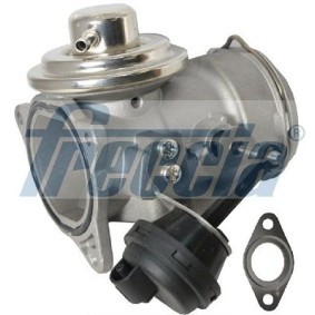 AGR-Ventil EGR12-163 von FRECCIA günstig für 76,85 € online kaufen