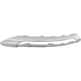 Zierleiste, Stoßstange 1672265 von DIEDERICHS günstig für 31,30 € online kaufen