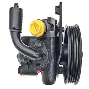 Achetez des Pompe de direction assistée LIZARTE 04.75.0122 à prix pour 291,31 €