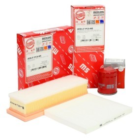 Filterset 450001142 von MASTER-SPORT günstig für 14,41 € online kaufen