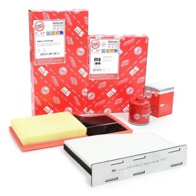 Filterset 450001792 von MASTER-SPORT günstig für 19,34 € online kaufen