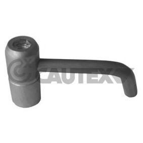 Ölpumpe des Herstellers CAUTEX - Originalware Artikelnummer: 750276