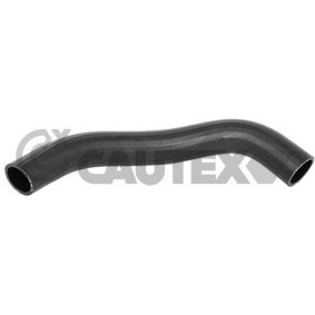 Kühlerschlauch 754225 von CAUTEX günstig für 68,02 € online kaufen