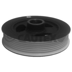 Achetez des Poulie damper (vilebrequin) CAUTEX 754644 à prix pour 168,08 €