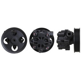 Acquista Pompa idraulica, sterzo da DRI 715521720 a buon mercato per soli 291,07 €