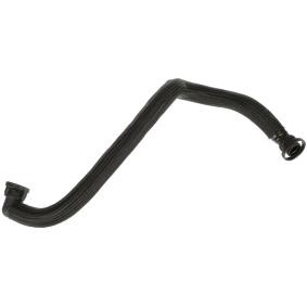 Compre Tubo flexível, respiro do cárter da cambota da RAPRO R19676 a um preço baixo por 25,13 €