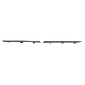 Comprar Listón embellecedor / protector, panal de radiador de BLIC 6502-07-6034992Q a bajo precio de 30,12 €