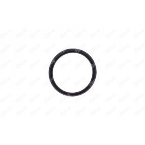 Comprar Junta anular, conducto aire admisión de IBRAS 11618 a bajo precio de 4,01 €