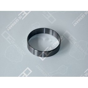 Acquista Anello scorrimento, Albero a gomiti da OE Germany 01 0301 400000 a buon mercato per soli 17,10 €