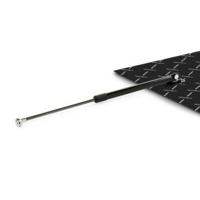 Compre Amortecedor da mala da RIDEX 219G0992 a um preço baixo por 23,42 €