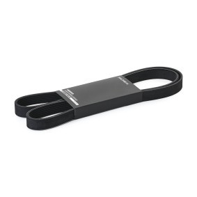 Keilrippenriemen 305P0518 von RIDEX günstig für 10,03 € online kaufen
