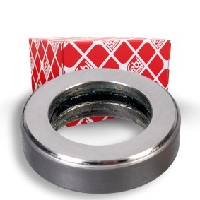 Lager, Achsschenkel 173065 RENAULT TRUCKS von FEBI BILSTEIN