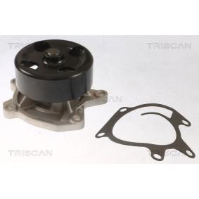 Wasserpumpe 8600 25097 von TRISCAN günstig für 62,31 € online kaufen