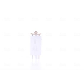 Acquista Valvola espansione climatizzatore da NISSENS 999224 a buon mercato per soli 31,53 €