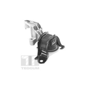 Motorlager TED25761