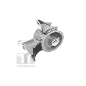 Motorlager TED70520