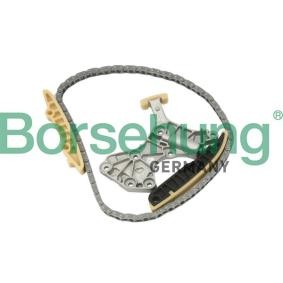 Steuerkettensatz B10205 von Borsehung günstig für 112,35 € online kaufen