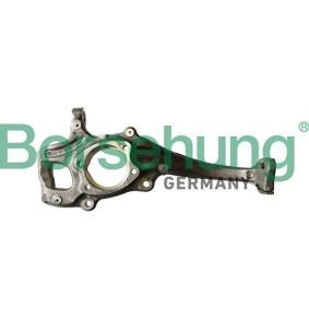 Achsschenkel des Herstellers Borsehung - Originalware Artikelnummer: B12110