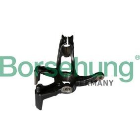 Achsschenkel des Herstellers Borsehung - Originalware Artikelnummer: B12112