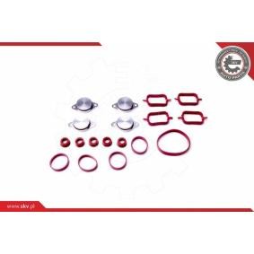 Dichtungssatz, Ansaugkrümmer 96SKV053 von ESEN SKV günstig für 40,36 € online kaufen