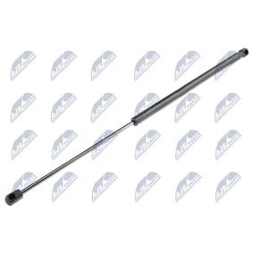 Acquista Ammortizzatore pneumatico cofano motore da NTY AE-AR-005 a buon mercato per soli 14,88 €