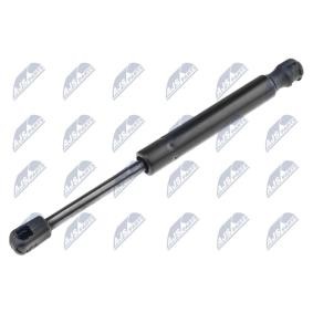 Acquista Ammortizzatore pneumatico cofano motore da NTY AE-PL-045 a buon mercato per soli 14,46 €
