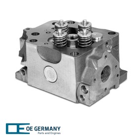 Zylinderkopf des Herstellers OE Germany - Originalware Artikelnummer: 01 0129 501001
