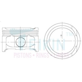 Kolbensatz 44705.STD von TEIKIN günstig für 132,21 € online kaufen
