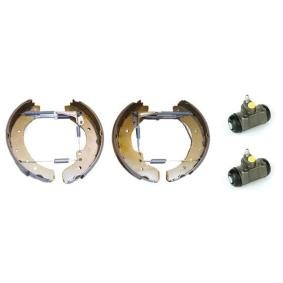 Compre Kit de frenos de tambor de BREMBO online para TALENTO Furgón (290) a precios moderados