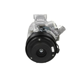 Klimakompressor 090.195.007.260 von BV PSH günstig für 686,16 € online kaufen