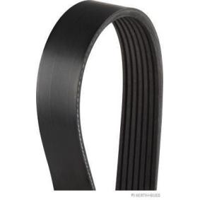 Compre Correia trapezoidal estriada da HERTH+BUSS JAKOPARTS J1071190 a um preço baixo por 9,32 €