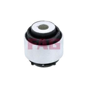 Lagerung, Lenker 829 0576 10 von FAG günstig für 11,10 € online kaufen